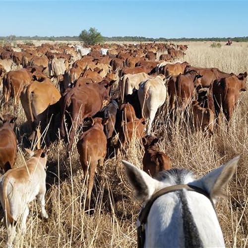 New video game hoping to encourage the next generation to take up a future in agriculture