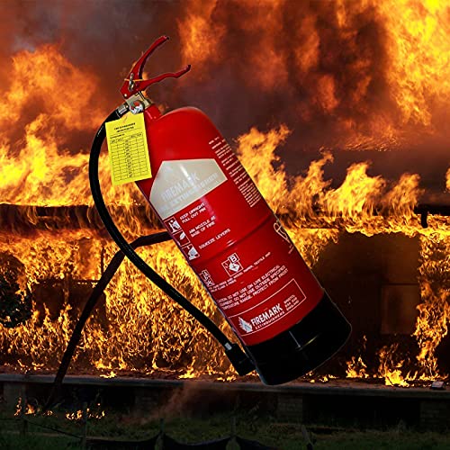 50 Pieces Monthly Fire Extinguisher Inspection Tags Record 4-Year Maintenance Tags Fire Extinguisher Recharge and Inspection Record Tag Yellow for Indoor Outdoor Fire Extinguishers