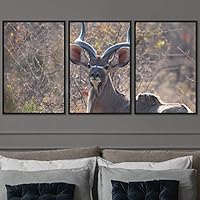 3 Piece Framed Canvas Wall Art Spiritual Animals Deer Canvas Prints Home Artwork Decoration for Living Room,Bedroom - 16