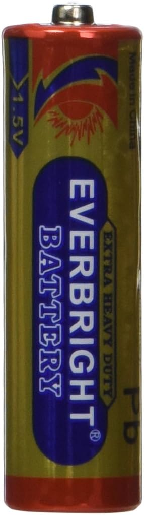 EVERBRIGHT Extra 1.5V Heavy-Duty Battery Value Box excellent for electronis and toys