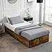 GAZHOME Twin Bed Frame with 2 XL Storage Drawers, Metal Platform Bed Frame with Footboard, 9 Strong Metal Slat Support/No Box Spring Needed/Easy Assembly/Space Saving Wood