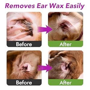 Meiqihome ear cleaner for dogs and cats soothes ear inflammation removes wax and odor includes 50 cotton swabs 4 fl oz cleaner for dogs   cucciolini doodles
