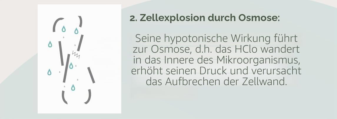 Mölnlycke Granudacyn® Wundbewässerungslösungsspray, 250 ml, Reinigung und Befeuchtung von akuten und chronischen Wunden, Geschwüren, Verbrennungen – antimikrobiell, beseitigt Gerüche, gebrauchsfertig,