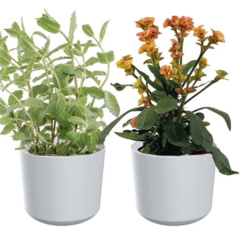 Zero Home - Blumentöpfe I 2 Stück Blumenübertopf Set I Übertopf 20 cm I Aus Haltbarem Material I Robust und Leicht I Hergestellt in EU I Simple Design I WEIß Matte - ⌀ 18 cm