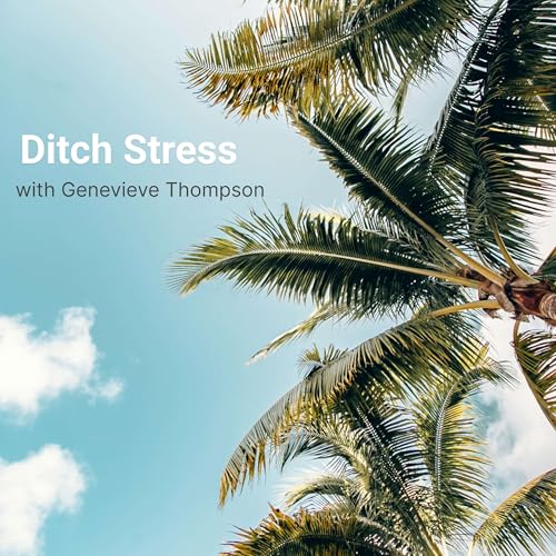 Ditch Stress cover art