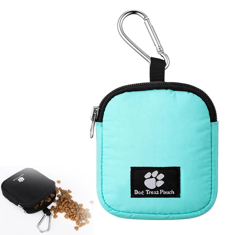 HEJINYUN Dog Training Pouch Waist Pack for Outdoor Pet Training, Dog Treat Pouch with Zipper and Carabiner Clip, Portable Snack Bag for Dog Walking Training and Hiking, 9×3×10cm, Teal Blue