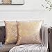 OMMATO Federe per Cuscini in Velluto 50x50 cm Federe Decorative quadrate con Stampa in Oro per Divano Camera da Letto Soggiorno Arrossire Rosa Set di 2