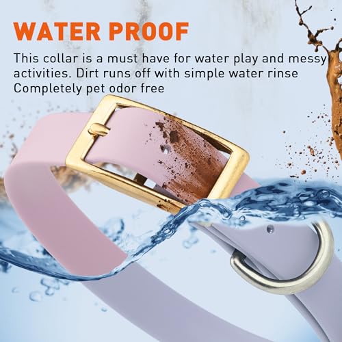Image of Viper Biothane Heavy Duty Waterproof Dog Collar Strong Coated Nylon Webbing w /Solid Brass Hardware Odor-Proof for Easy Care to Clean High Performance Fits Small Medium or Large Dogs, Pastel Purple