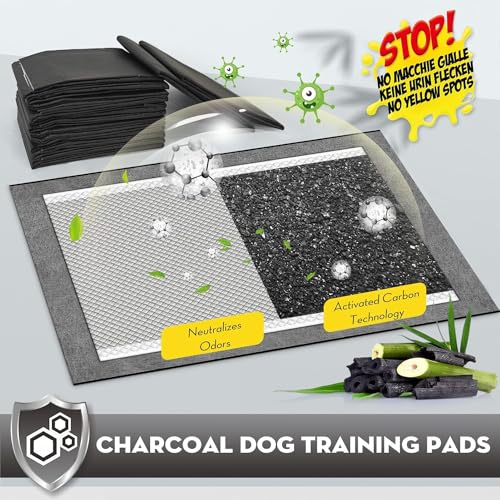 Image of CROCI Potty Pads for Dogs XXL 30x36in, Charcoal Pet Pee Pads Odor-Control & Super Absorbent Up to 10 Cups, 6-Layer Quick Dry & Leak-Proof with Adhesive Tabs, Disposable (40 Counts)