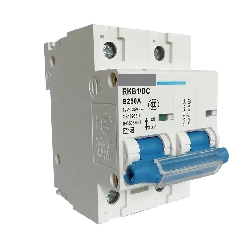 Salvavita Riarmo Automatico Interruttore automatico CC 1P 2P 12V-125V 63A, 80A, 100A, 125A, 150A, 200A, 250A(2P,250A)