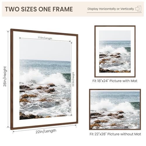 Image of FLYJOE 22x28 Oak Wood Picture Frame with Mat for 18x24, 22 by 28 USA-Sourced Natural Solid Wooden Poster Frame for Wall Display, Tempered Real Glass, Hanging Hardware Included, Walnut Color