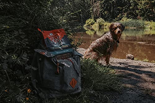 Stella & Chewy's Wild Red Dry Dog Food Raw Coated High Protein Grain & Legume Free Ocean Recipe, 3.5 lb. Bag - image 9
