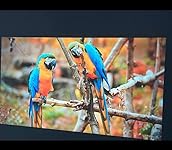 Review Image by Sandra Sandra