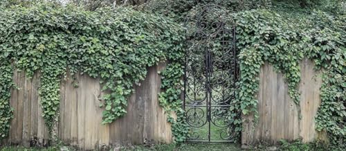 Black Iron Gate Secret Garden Mural, Tapestry & Curtain – Waterproof Outdoor Wall Hanging, Ivy Covered Wall Art & Rustic Garden Fence Decor W400cm x H180cm, W157.48 inches x H70.87 Inches