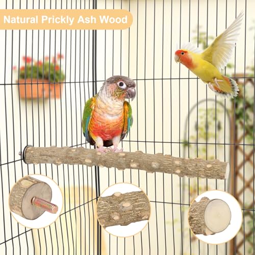 Image of Hypeety Natural Prickly Ash Wood Perch Stand Toy Parrot Stand Holder Paw Grinding Perch Bird Chew Perch for Budgie Parakeet Cockatiel Conure Lovebird (11.79 inch)