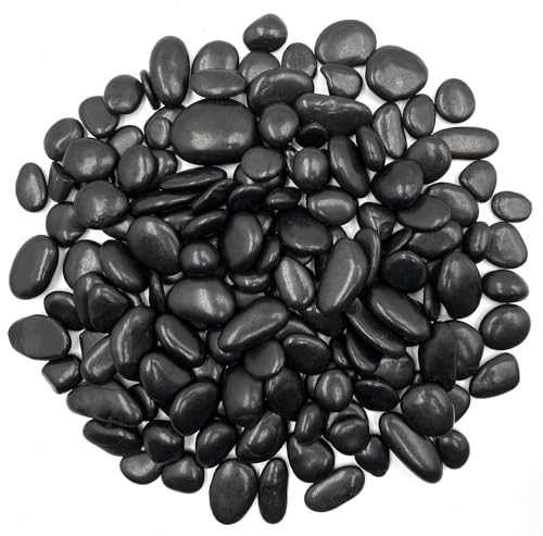 Image of RITOLLO 6lb Black Pebble Rocks 3 /8-1 Inch Polished Natural Aquarium Gravel Decorative Fish Tank Rocks Garden Landscaping Decor
