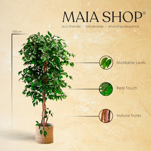 Maia Shop Ficus, Artificial Tree with Natural Trunks, Made with The Best Materials, Ideal for Home Decoration, Artificial Plant 6 feet Tall - 71 inches