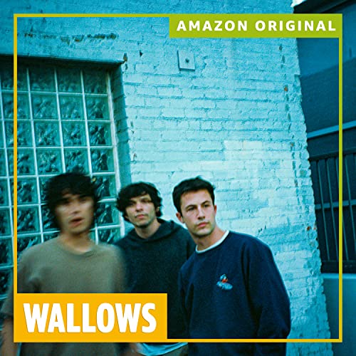 Wallows