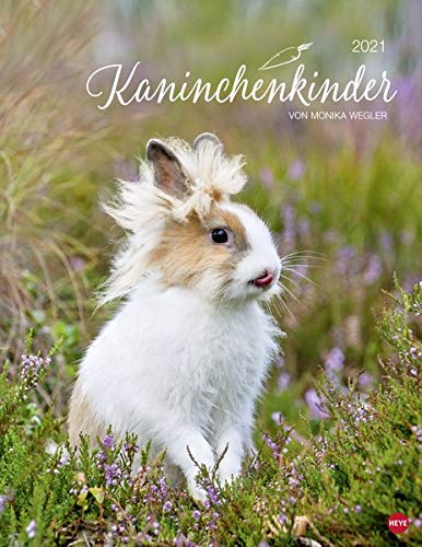 Kaninchenkinder Posterkalender von Monika Wegler - niedlicher Wandkalender 2021 mit vielen Fotos und Kaninchenkinder Posterkalender von Monika Wegler - niedlicher Wandkalender 2021 mit vielen Fotos und