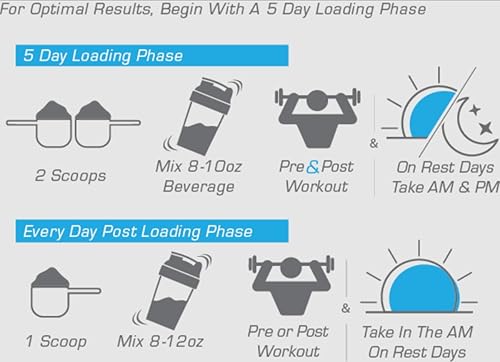 Miniatura 7 de Alpha Supps - Polvo de monohidrato de creatina alfa favorece el crecimiento muscular | Micronizado | Sin sabor | 10.58 oz - 60 porciones