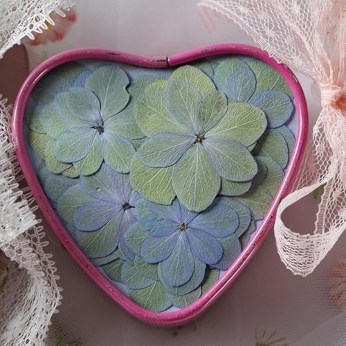 30 flores secas prensadas para manualidades DIY miniatura 7