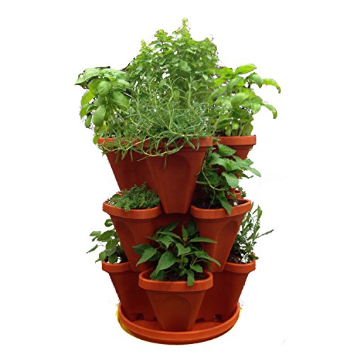 3 Tiered Stackable Indoor Outdoor Vertical Herb Planter - Learn How To Grow Organic Herbs Easy With These Terra Cotta Plastic Containers - Great Garden Planting Pots - Planters Also Used For Strawberries Peppers Flowers Tomatoes Succulents Green Beans Hydroponics - Free Growing Gardening Plant Tips #TOP2