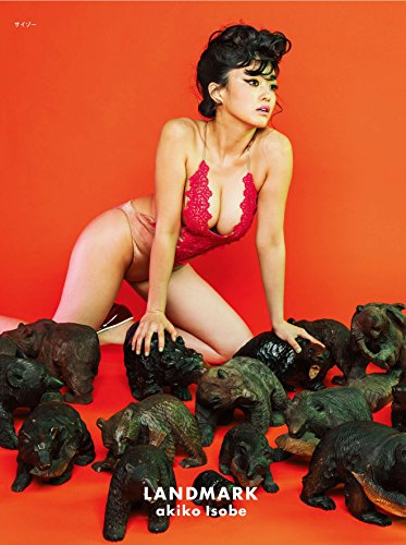 磯部昭子 写真集 LANDMARK