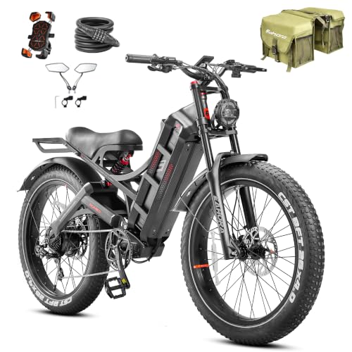 eAhora Romeo Pro Ebike