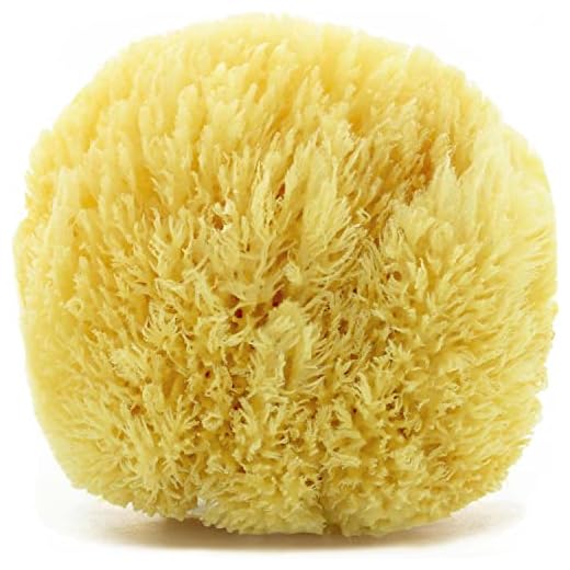 tom&pat® Naturliga badsvamp Grass havssvamp från Medelhavet, duschsvamp i premiumkvalitet (15-16 cm)