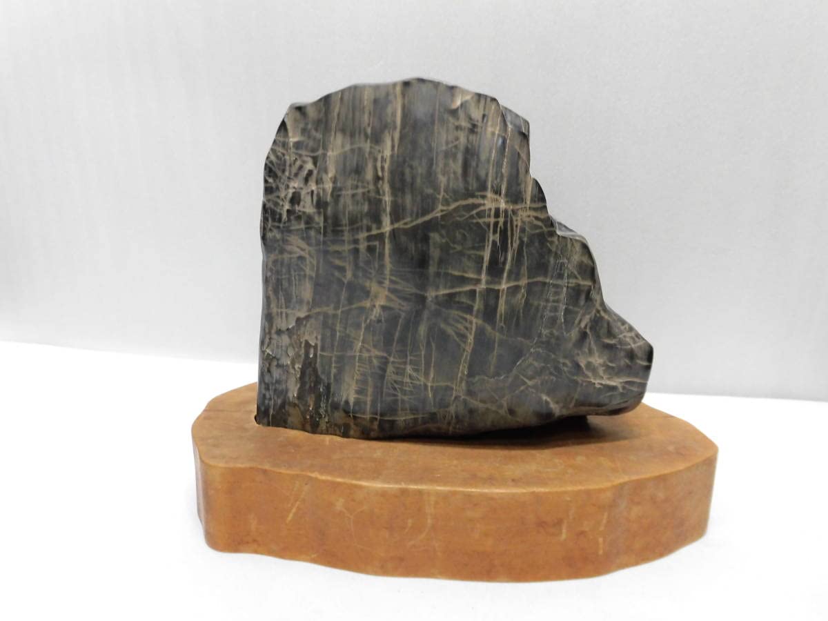 自然石 水石 自然石303