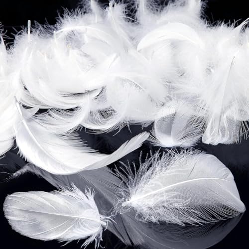 Mbsomnus Feathers for Crafting 600 Pcs White Feathers Natural Craft Feathers 5-12 cm Feathers for DIY Crafts Dream Catcher Earrings Headdress Feather Flowers Wedding Party Holiday Decoration