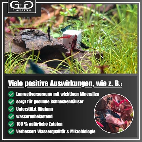 GlasGarten Mineral Pure Cubes | 8 STK. – Ergänzungsfutter/Mineralfutter für Ziergarnelen, Schnecken & Krebse, verbesserte Wasserqualität, direkte Einwirkung auf Gesamthärte & Leitwert