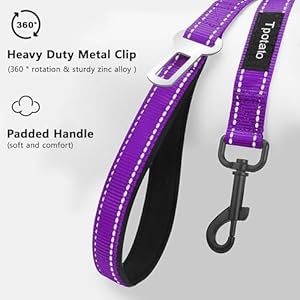 6 Foot Purple Dog Leashes for Large Medium and Small Breed Dogs That Pull,Reflective Nylon Heavy Duty Dog Leash with 2 Comfortable Padded Traffic Handles and Car Seat Belt for Walking and Training