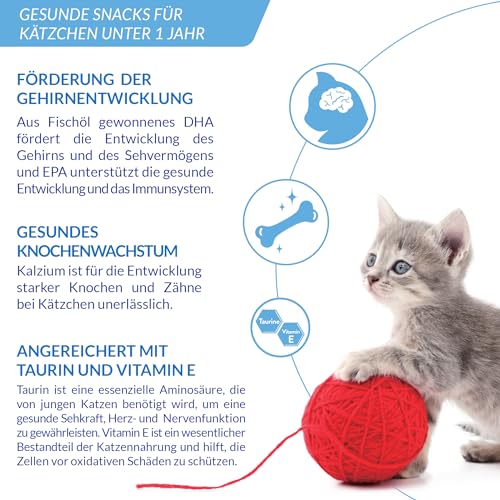 INABA Churu Creamy Snack für Kätzchen mit Omega 3, Taurin, hochwertiges Hühnerfleisch, Katzensnacks Junior 2-12 Monate, Kitten Nassfutter, Einzelzutat, Premium Kitten Leckerlies, 20 x 14g