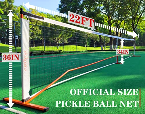 Image of Zdgao Portable Pickleball Net with Pickleballs and Carry Bag for Driveway