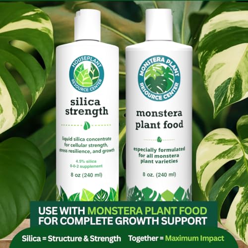 Monstera Growth Power-Duo Bundle – Silica Strength + Plant Food miniatura 6