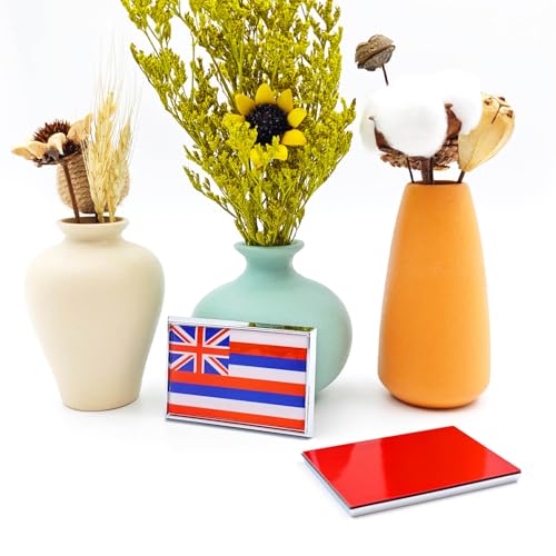 Image of Hawaii Flag Sticker Emblem Decal Car Chrome Flags, 2 Pack, 3 x 2 inches