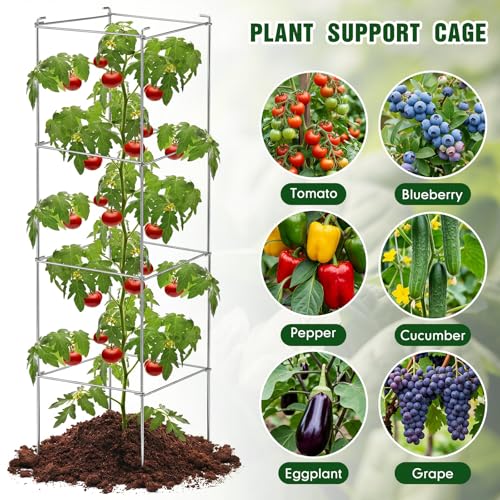 Hicarer 16 Pack Square Tomato Cage Heavy Duty Tomato Cages for Garden Vegetable Plant Trellis Stakes Plant Support Stake Tower for Climbing Vegetables Plants Flowers Fruit (11.5 x 46 Inches,Silver) by Hicarer - Image 5