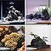 20lb Volcanic Lava Rocks Natural Stones for Fire Pit Aquarium Bonsai Substrate Succulent Planters Garden Decorative Landscaping paludarium(7-8pcs 4-9 inches)