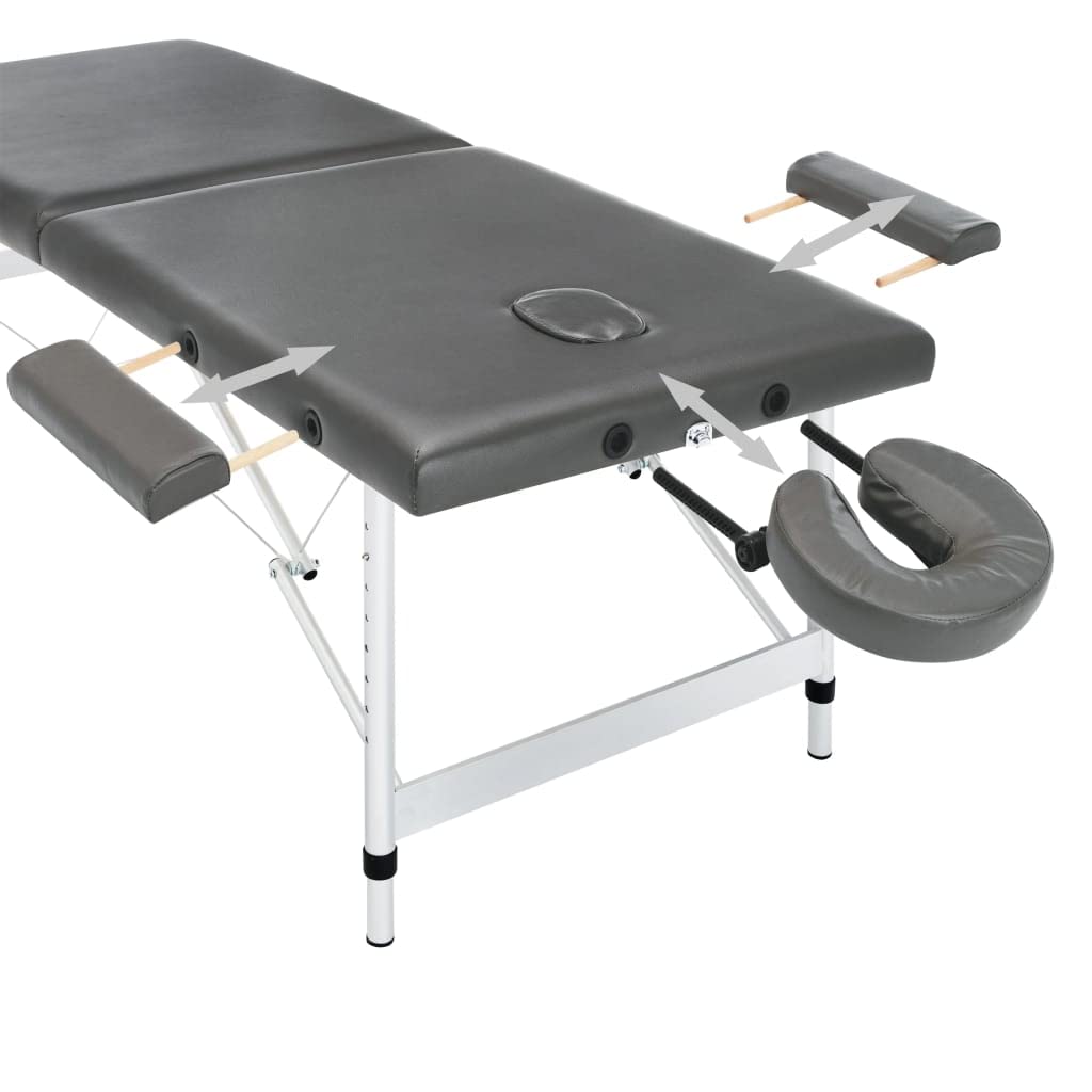vidaXL Camilla Masaje de 2 Zonas Estructura Aluminio Antracita 186x68cm Salud Accesorios Salón Masajista Cuidado Personal Altura Ajustable Cómoda