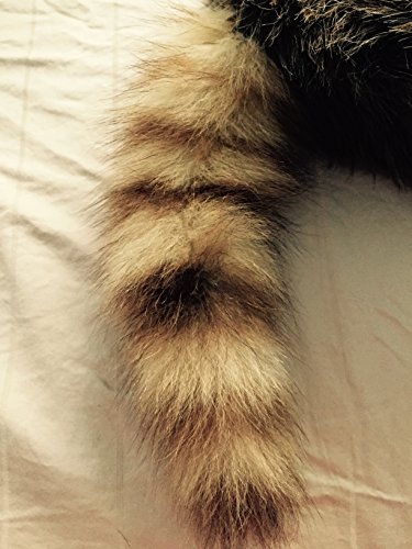 Insider Bat Coonskin Cap, Earth Friendly Coon Tail, Davy Crockett Cap, Racoon Hat3