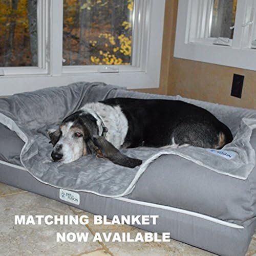 PetFusion Ultimate Solid 4 'Memory Foam Hunde/katzebett für X große Hunde/katze (44x34x10 zollorthopädische Sofa Couch; grau). Ersatzabdeckungen und Decken sind ebenfalls erhältlich