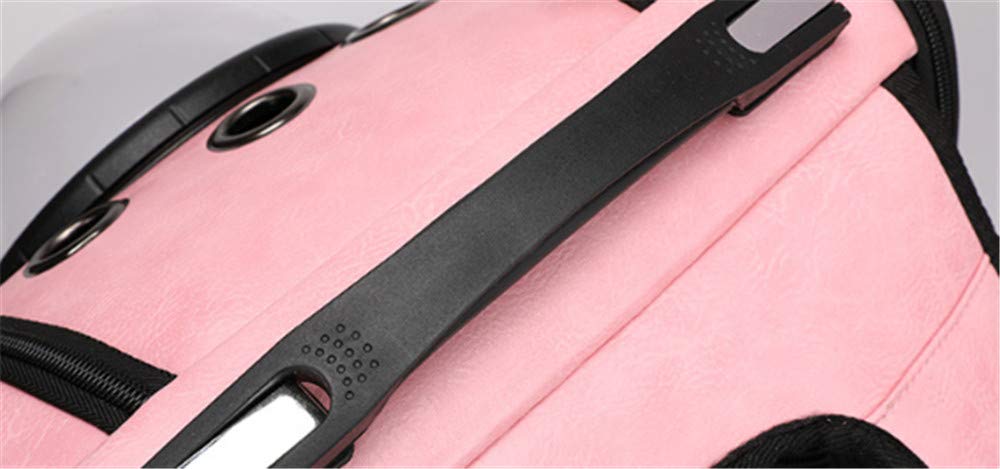 Borsa per Gatti Traspirante porosa Borsa per Animali Domestici Borsa per Il Trasporto Zaino per Animali Domestici Trasparente