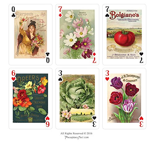 Prospero Art Garden & Flowers Naipes de Poker miniatura 4