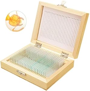 Bysameyee 25 PCS Mikroskop-Objektträger Science Kit