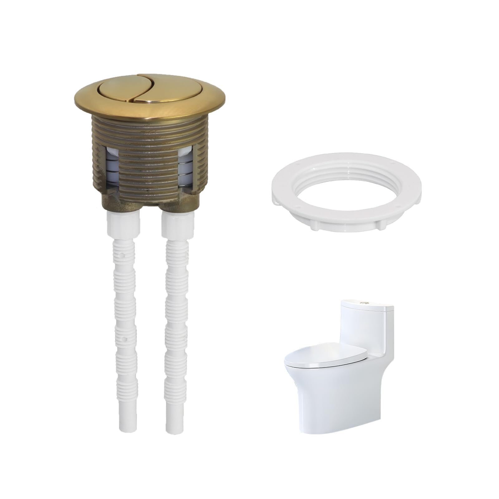 VZU Brushed Brass Toilet Flush Button, Universal Dual Flush for 38-42mm Cistern Hole, Adjustable Spindle, Top/Front Mount for Close Coupled WC