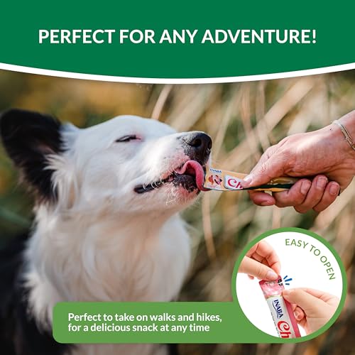 Friandise pour chien difficile Churu INABA stick sans grain poulet fromage sain