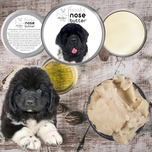 Image of The Blissful Dog Landseer Newfoundland Nose Butter