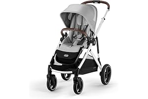 Gazelle S Stroller: The Utmost Double Stroller for Your Growing Family