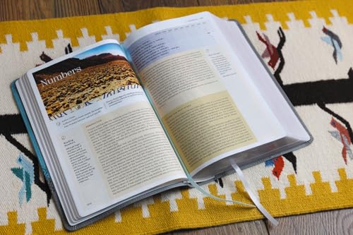Image of NIV Application Bible, Leathersoft, Teal /Grey, Red Letter, Comfort Print: Bringing the Ancient Message of the Bible into Your World (NIV Application Commentary Resources)